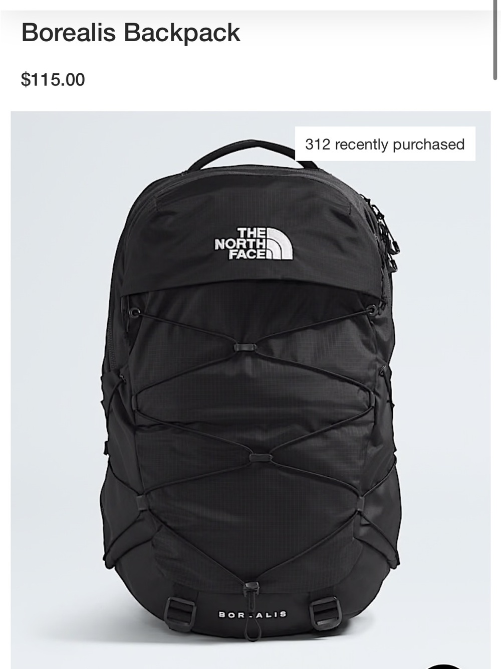 The North Face Borealis Backpack - Black